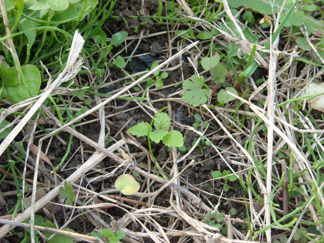 20121106-004.jpg