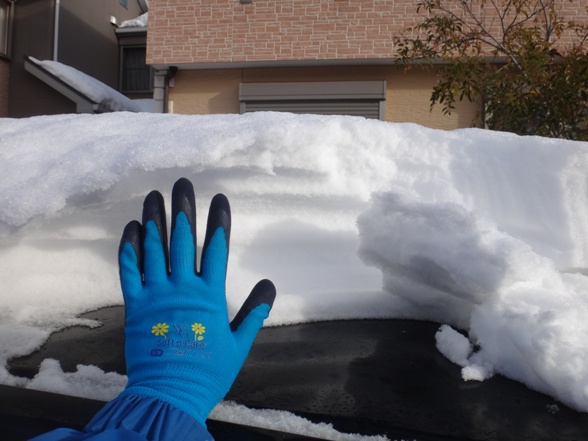 4_2014021010331250e.jpg