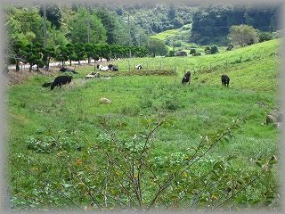 IMG_6578.jpg
