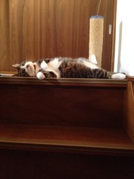 20120804114743.jpg