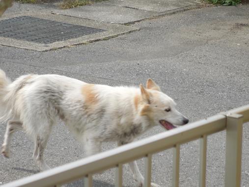 DSCN5659.jpg