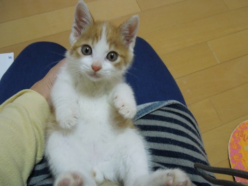 DSCN5852.jpg