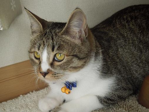 DSCN5930.jpg