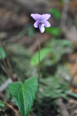 lDSC 23_0879