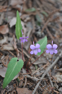 lDSC 5_0929