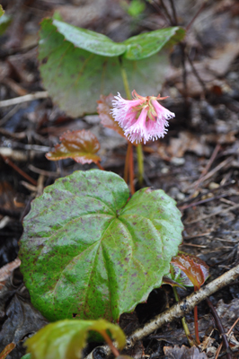 nDSC 14_0115