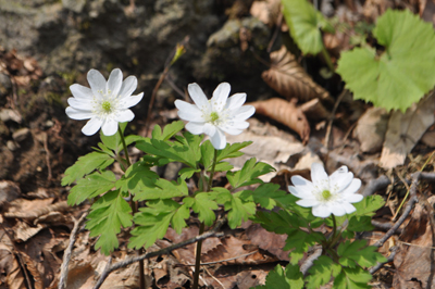 nDSC 15_0255