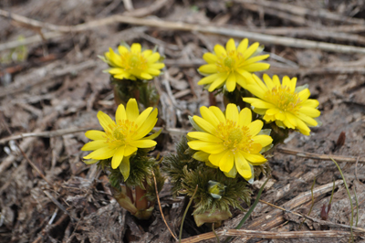 nDSC 10_0326