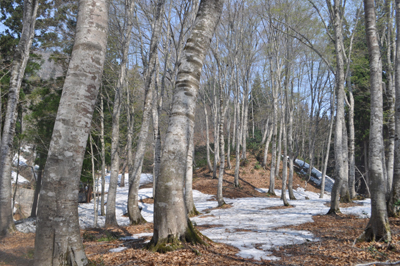 nDSC 9_0283