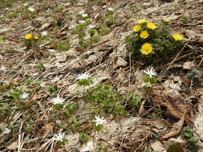 nDSC 15_3588