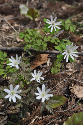 nDSC 14_0344