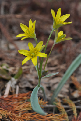 nDSC 12_0335