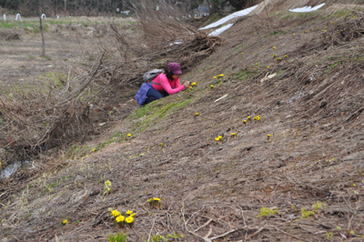 nDSC 11_0328