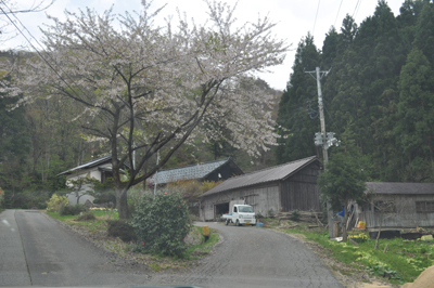 nDSC 2_0281