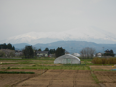nDSC 6_3531