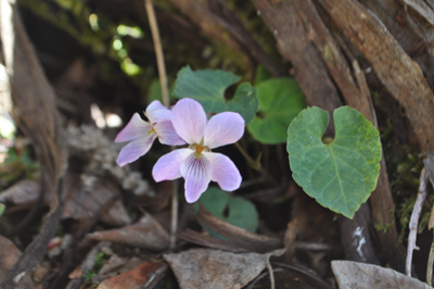 oDSC 8_0402
