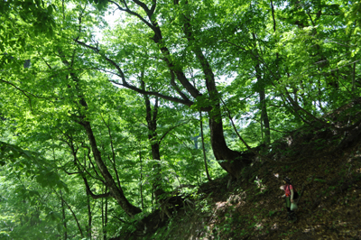 rDSC 3_0803