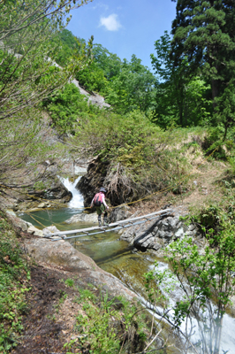 rDSC 2_0868