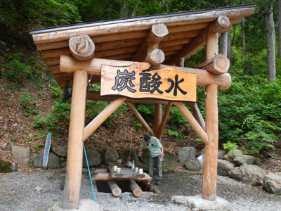 rDSC 8_3984