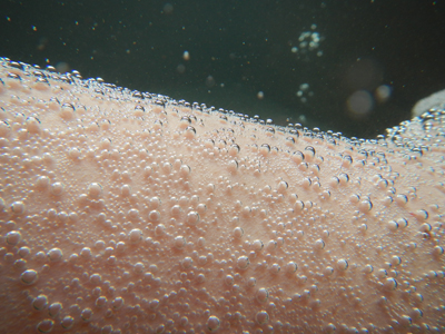 rDSC 6_3996