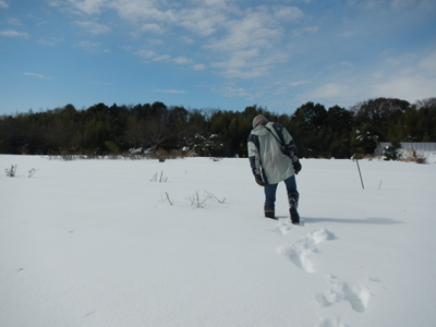 DSCg 14_6981