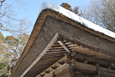 DSCg 9_0743