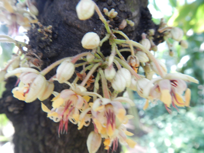 DSCN6910.jpg