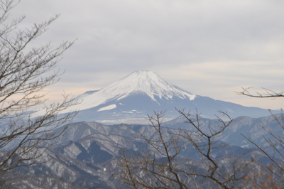 DSCx15_0699.jpg