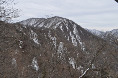 DSCx18_0706.jpg