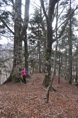 DSCx4_0670.jpg
