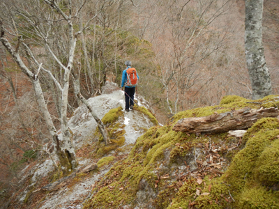 DSCx6_6787.jpg