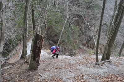 DSCx7_0678.jpg