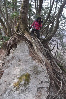 DSCx8_0679.jpg