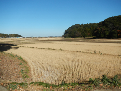 aDSCN1804.jpg