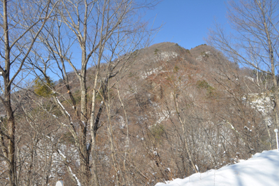 cDSC_0248.jpg