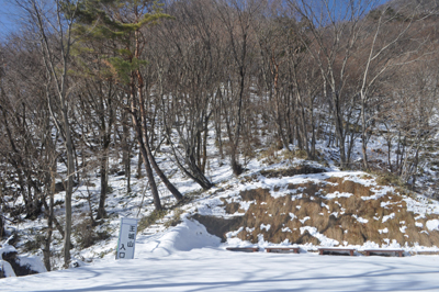 cDSC_0250.jpg