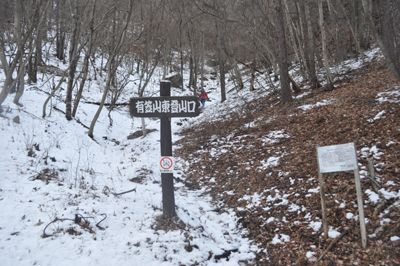 dDSC_0282.jpg
