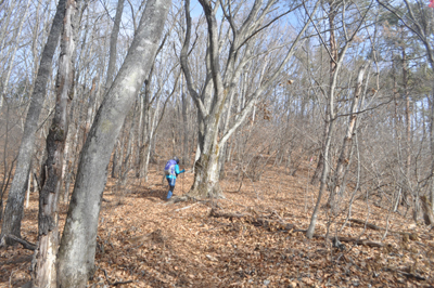 eDSC_0290.jpg