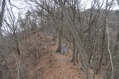 eDSC_0300.jpg