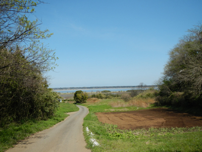 iDSCN2719.jpg