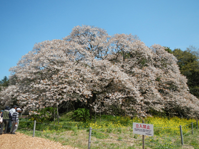 iDSCN2757.jpg