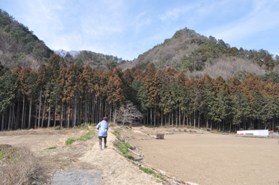 iDSC_0371.jpg