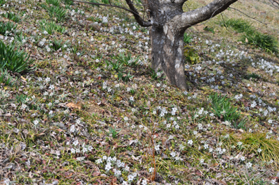 iDSC_0386.jpg