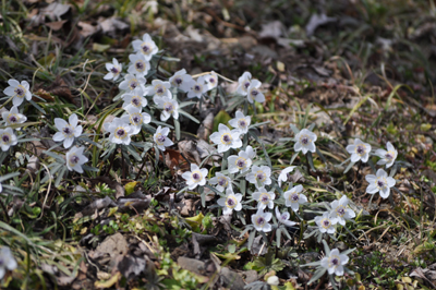 iDSC_0388.jpg