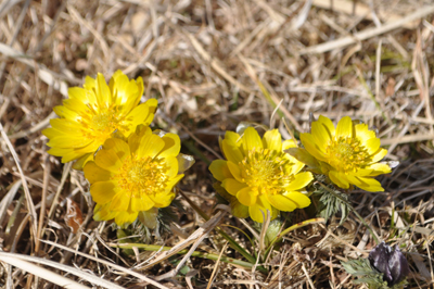 iDSC_0418.jpg