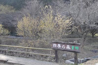 iDSC_0419.jpg