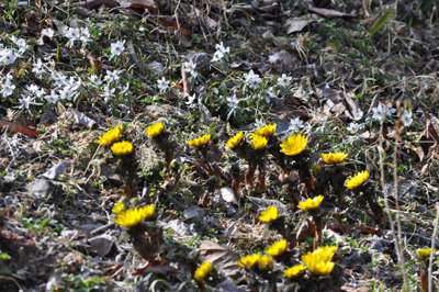 iDSC_0421.jpg
