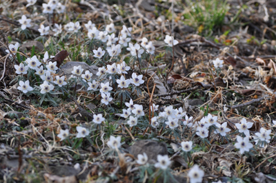 iDSC_0424.jpg