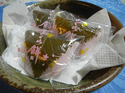 jDSCN2394.jpg