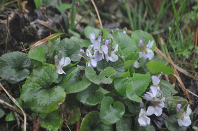 lDSC_0578.jpg